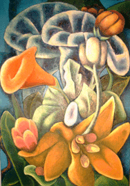 Flores