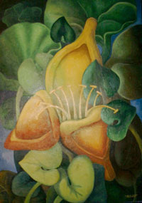 Trillium